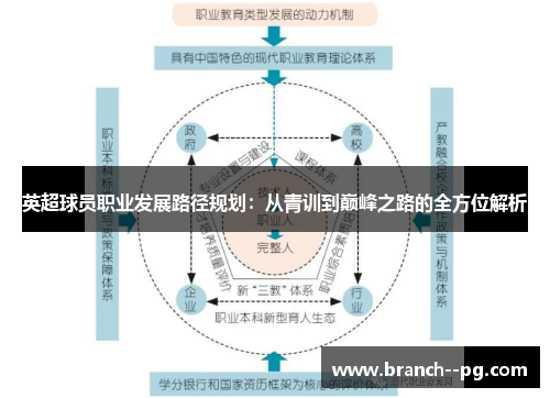 英超球员职业发展路径规划：从青训到巅峰之路的全方位解析