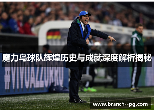 魔力鸟球队辉煌历史与成就深度解析揭秘