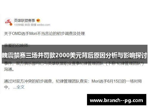 魏震禁赛三场并罚款2000美元背后原因分析与影响探讨