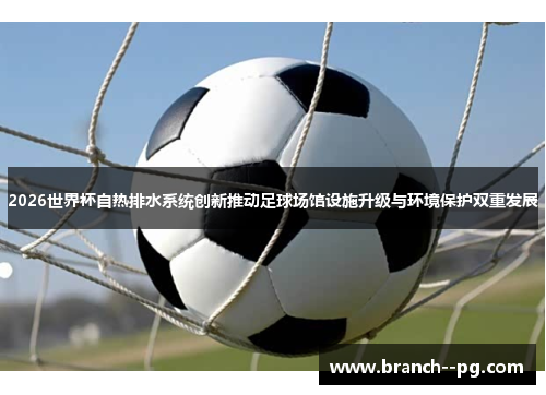 2026世界杯自热排水系统创新推动足球场馆设施升级与环境保护双重发展