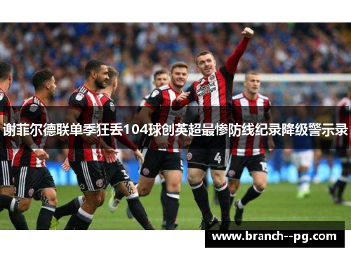 谢菲尔德联单季狂丢104球创英超最惨防线纪录降级警示录